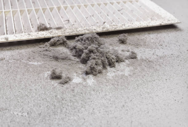 Best Dryer Vent Cleaning Services  in Lula, GA