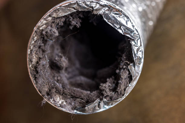 Best Affordable Air Duct Cleaning  in Lula, GA