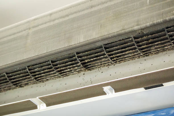 Best Home Air Vent Cleaning  in Lula, GA