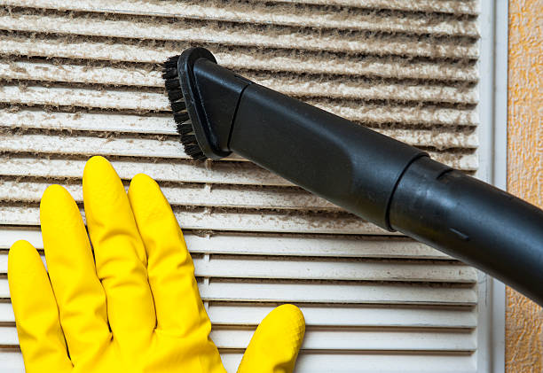 Best Local Air Duct Cleaning Services  in Lula, GA